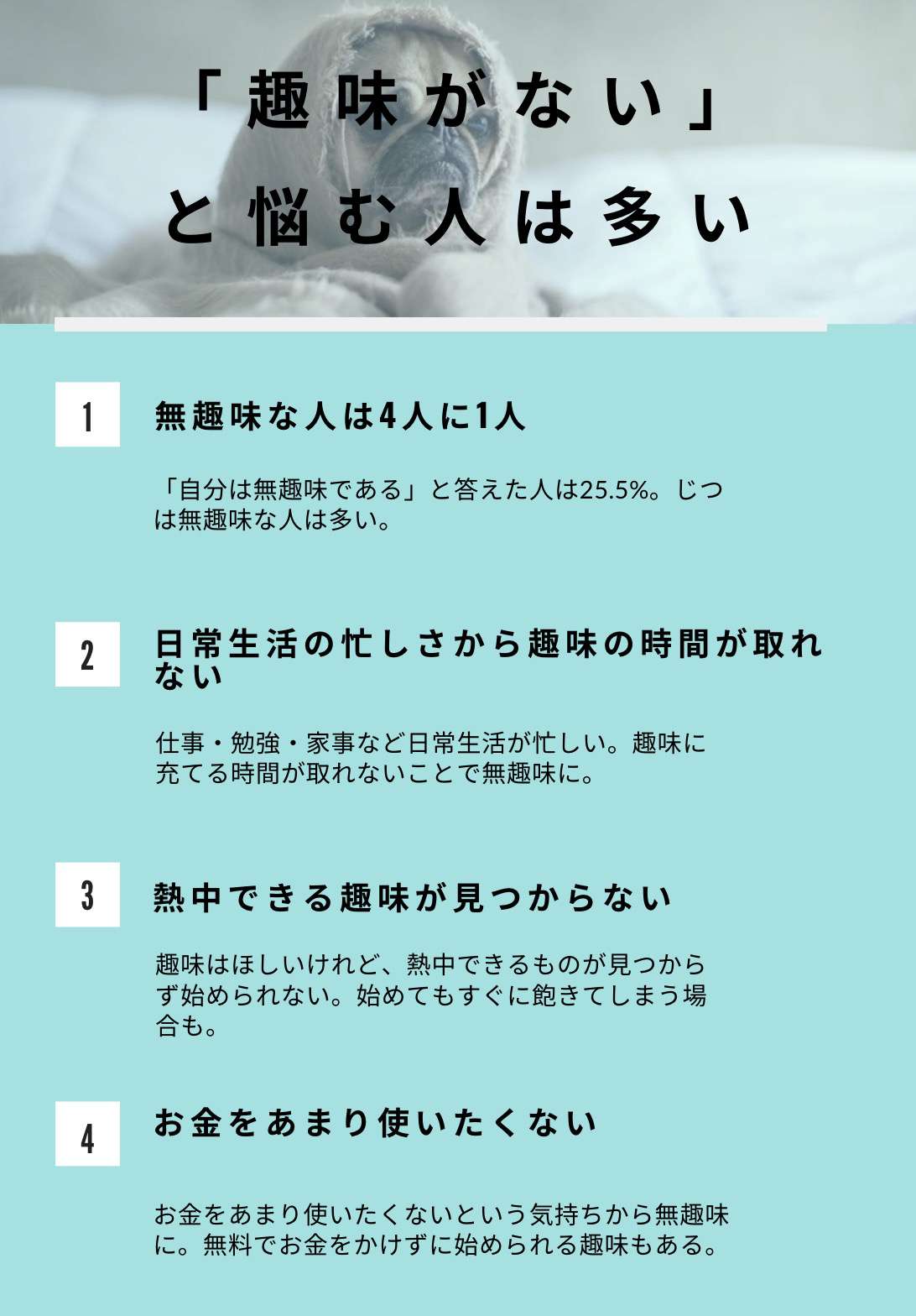 大人に人気の趣味おすすめ一覧 一人でもできる新しい趣味の見つけ方や継続のコツも テックキャンプ ブログ