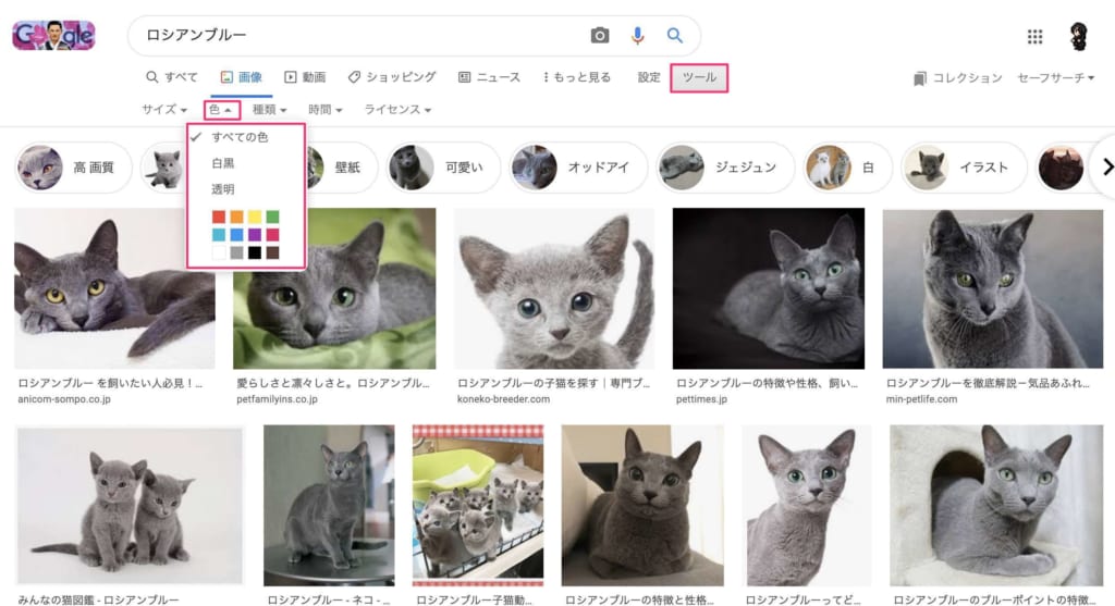 Google 画像検索の使い方 やり方とできない時の対処法を解説 テックキャンプ ブログ