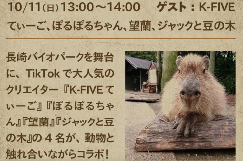 Tiktokが動物好き向けのイベント 新機能を発表 おうち動物園live 動物コレクション アニマルオーディオエフェクト を紹介 テックキャンプ ブログ